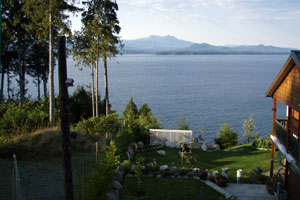 View from Jan's Place